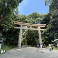 探索東京綠意：明治神宮一日遊 🌿⛩️ 