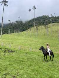 Why Colombia’s Coffee Region Was the Unexpected Highlight of My Trip
