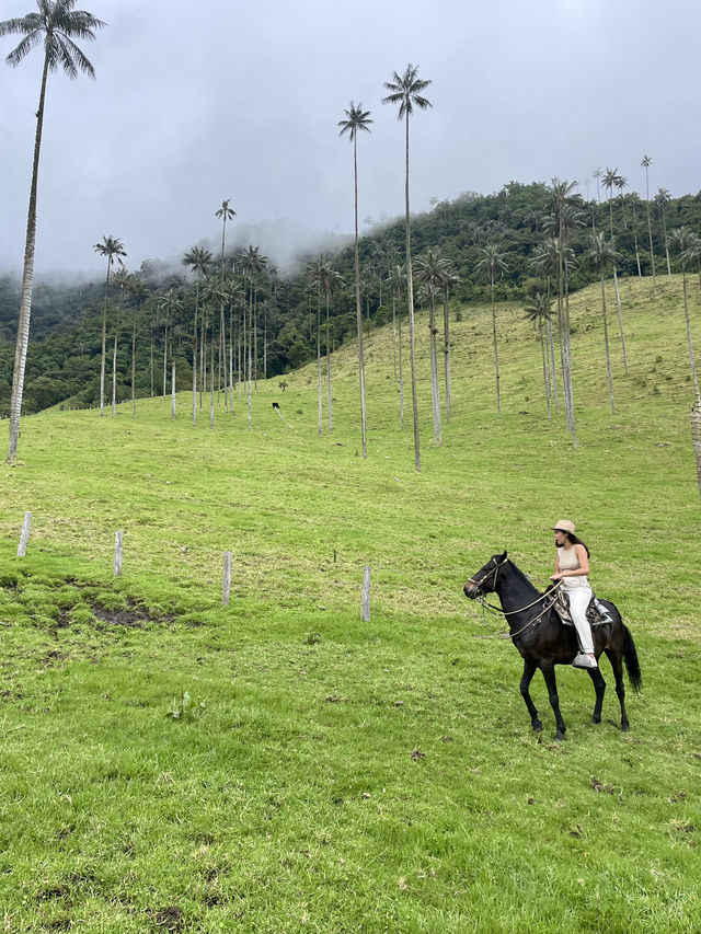 Why Colombia’s Coffee Region Was the Unexpected Highlight of My Trip Why Colombia’s Coffee Region Was the Unexpected Highlight of My Trip