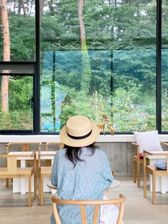 북유럽 감성가득 넓은테라스카페 강릉디오슬로