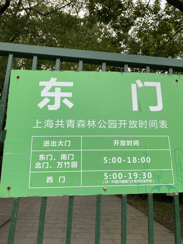 上海4A級國家森林公園-共青森林公園🌳🌿🐿️