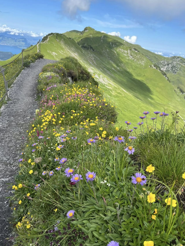 Stoos Trail – Scenic Heights Above Lake Lucerne