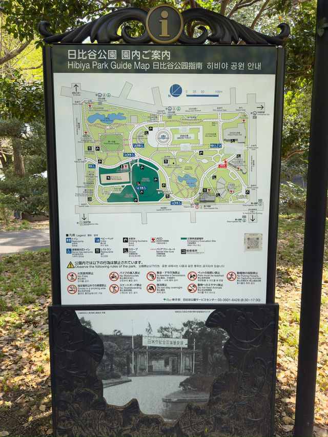  東京｜日比谷公園｜東京紅葉名所｜都會綠洲的秋日華彩