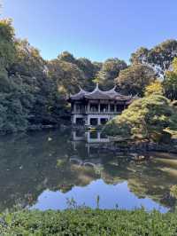 東京|新宿御苑|東京紅葉名所|都市中的秋色庭園   新宿御苑位於東京市中心,是日本最著名的庭園之一,也是「日本紅葉名所百選」的代表景點。園內約1,000株楓樹、銀杏與櫻花樹在秋季(約11月中旬至12月