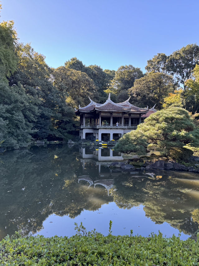 東京|新宿御苑|東京紅葉名所|都市中的秋色庭園   新宿御苑位於東京市中心,是日本最著名的庭園之一,也是「日本紅葉名所百選」的代表景點。園內約1,000株楓樹、銀杏與櫻花樹在秋季(約11月中旬至12月 東京|新宿御苑|東京紅葉名所|都市中的秋色庭園   新宿御苑位於東京市中心,是日本最著名的庭園之一,也是「日本紅葉名所百選」的代表景點。園內約1,000株楓樹、銀杏與櫻花樹在秋季(約11月中旬至12月