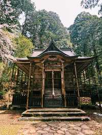 平泉寺 白山神社：靜謐的精神聖地
