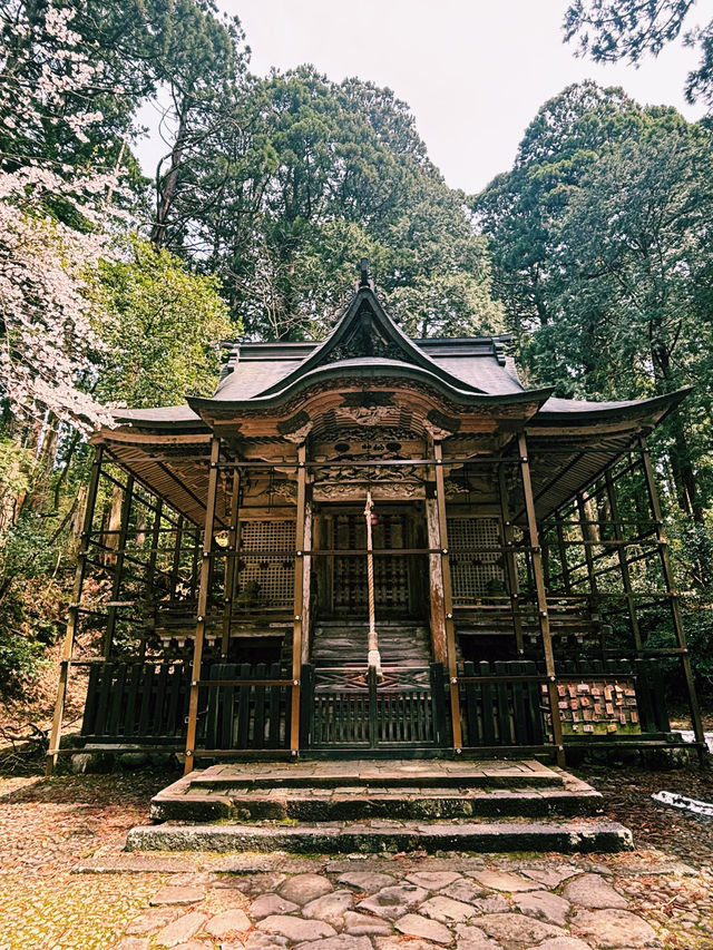平泉寺 白山神社：靜謐的精神聖地