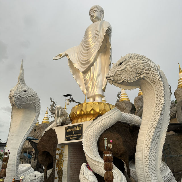 ครอบครัวพญานาค🐍 วัดดอนใหญ่