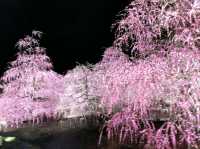 梅とグルメの一泊二日