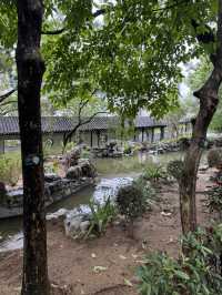 Tranquility Amid the Bustle: Walled City Park