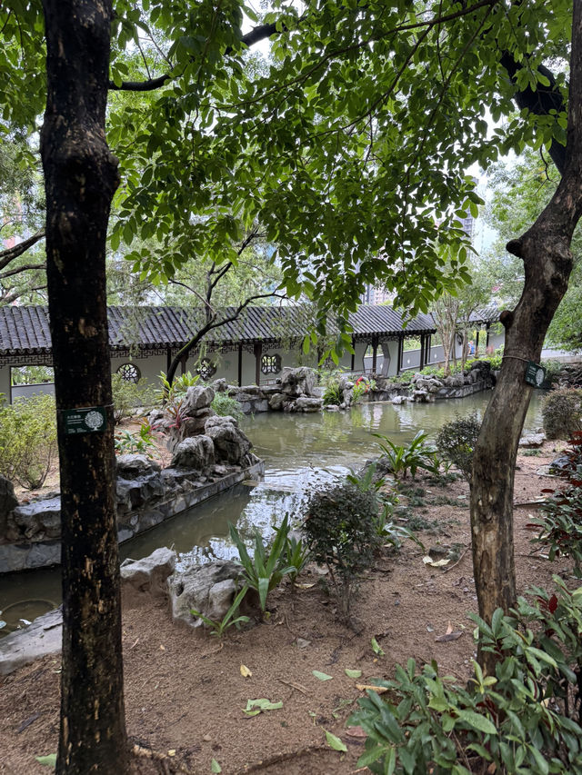 Tranquility Amid the Bustle: Walled City Park