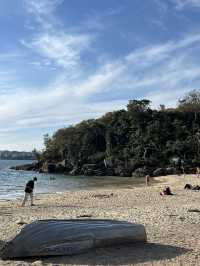 Such a hidden gem . Pretty cafe at Shelly beach Sydney 