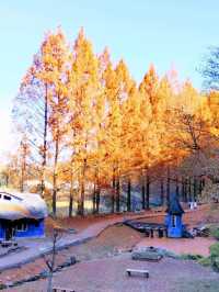 紅葉のムーミンバレーパーク、トーベ・ヤンソンあけぼの子どもの森公園と角川武蔵野ミュージアムを楽しむ一泊二日
