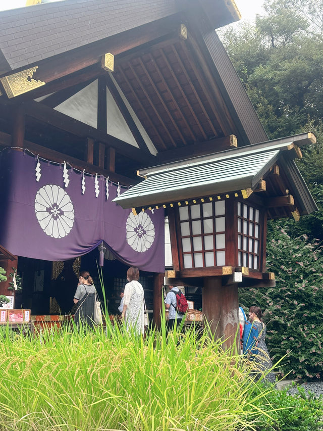 ✈️ 東京6日特種兵旅行｜行程分享＋真實心得