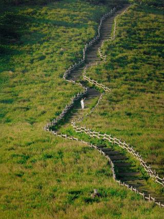 한국의 알프스를 정복하세요 - 울산 간월재 🏞️✨