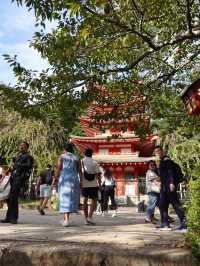 新倉淺間神社（新倉富士淺間神社）