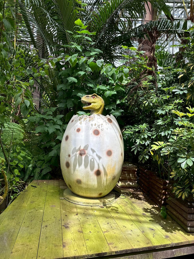 【沖縄🇯🇵】ナゴパイナップルパーク🍍💛🦖