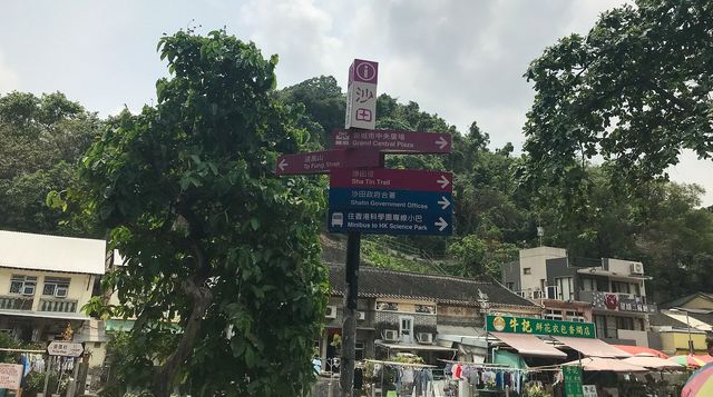 Ten Thousand Buddhas Monastery (Man Fat Sze)