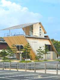鳥取砂丘の絶景