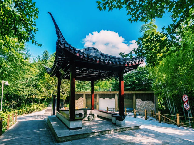 上海🇨🇳余山國家旅遊度假區