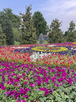 🌿 Park Hopping for Peace in Dushanbe