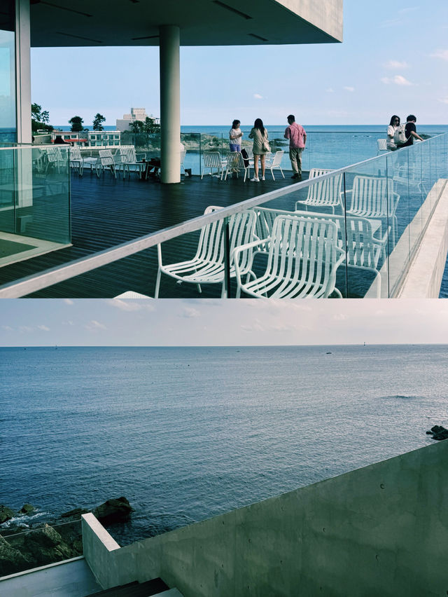 부산 바다를 한눈에 담은 코랄라니 카페의 여유