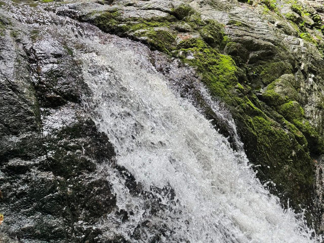 น้ำตกชันตาเถร บางพระ ชลบุรี 💦🌳