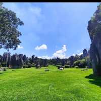 Walking Through a Stone Wonderland
