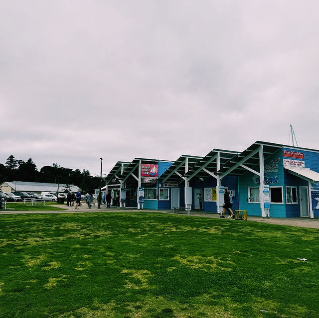 Albany Entertainment Centre