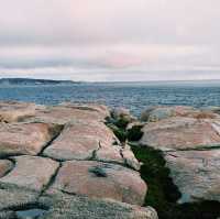 The Blow Holes