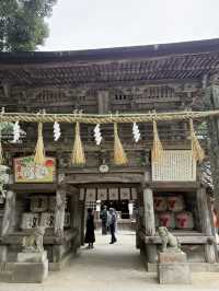 海風、白鳥居、龍貓的足跡：我在糸島尋找治癒系的藍