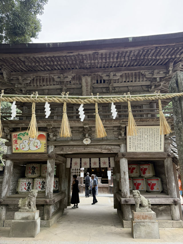 海風、白鳥居、龍貓的足跡：我在糸島尋找治癒系的藍