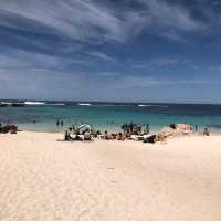 Quokka Paradise Found