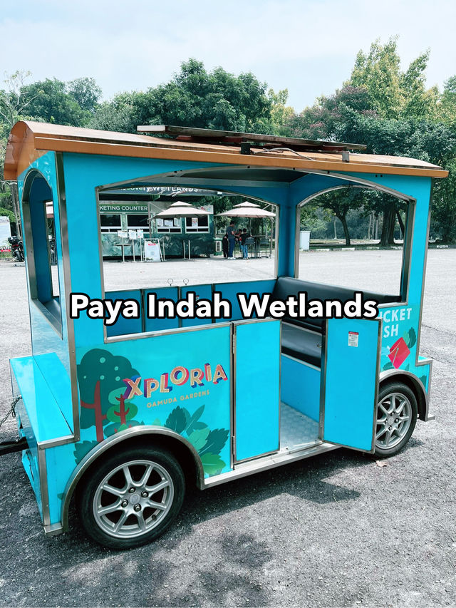 Weekend Escape to Paya Indah Wetlands: A Hidden Gem of Nature
