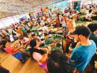 Pennywort Cooking Class