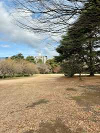 Shinjuku Gyoen National Garden 🌸