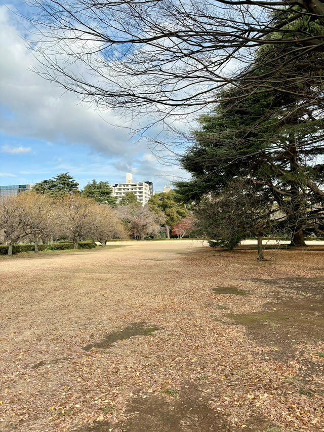 Shinjuku Gyoen National Garden 🌸