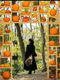 ハロウィンに染まった🎃ニコライバーグマン箱根ガーデン