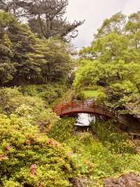 The Tranquil Walk to the Peak