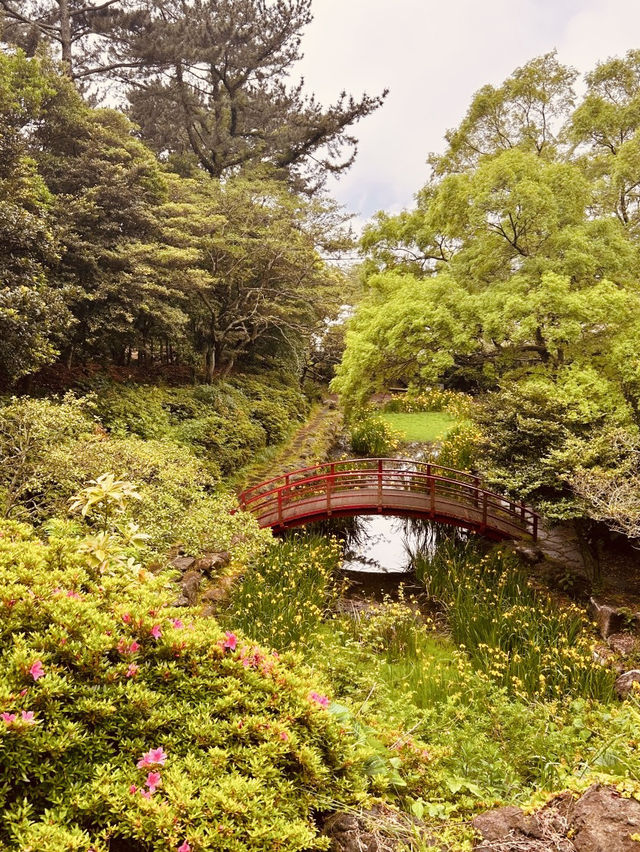The Tranquil Walk to the Peak