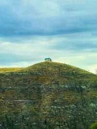 🌋 Yellowstone National Park – The Wild Heart of America