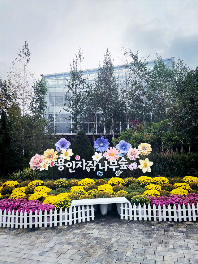 할로윈을 즐겨요, 용인자작나무 숲👻
