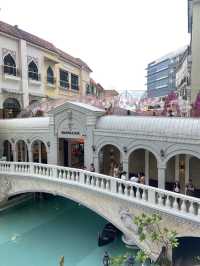Quick Visit To VENICE GRAND CANAL
