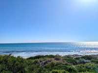 Sun, Sand, and Serenity: A Perfect Day at Cottesloe Beach