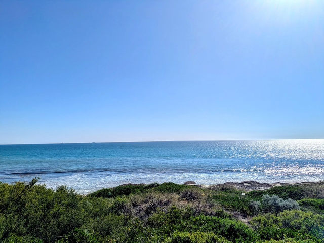 Sun, Sand, and Serenity: A Perfect Day at Cottesloe Beach