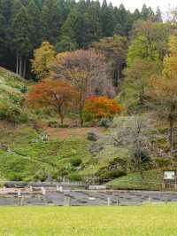 第５代当主朝倉義景が住んだ館の跡