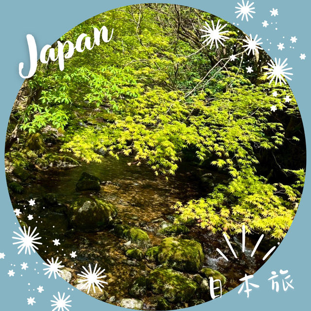 【和歌山】熊野古道⛰️ 中辺路 ― 小雲取越と大雲取越の違いを歩く  【和歌山】熊野古道⛰️ 中辺路 ― 小雲取越と大雲取越の違いを歩く