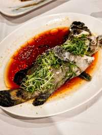 尖沙咀海景中菜新高度!原隻鮑魚粉絲煲只需$158?