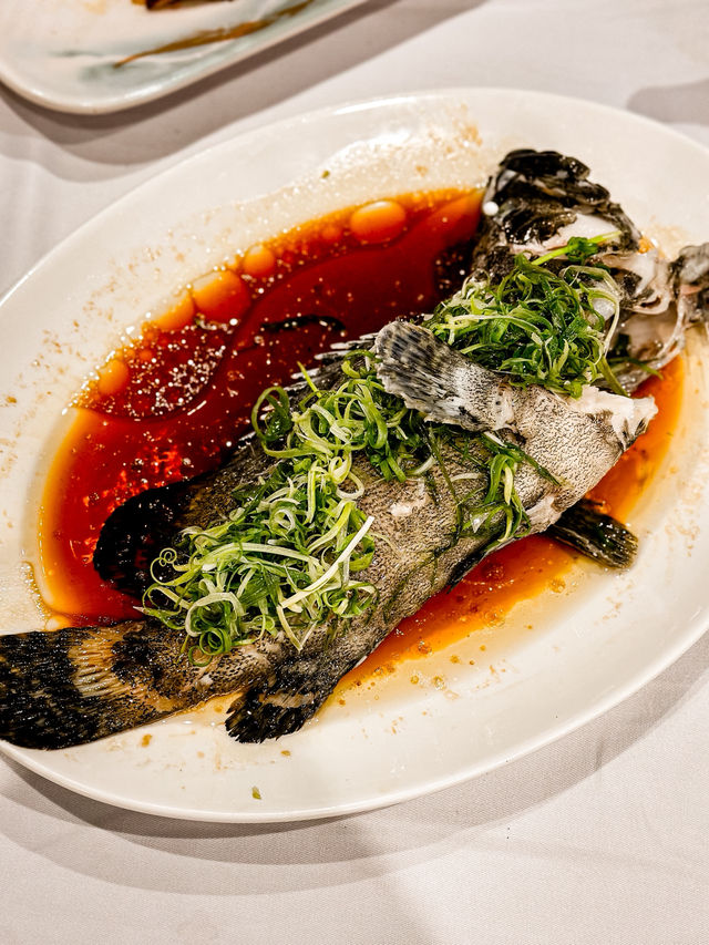 尖沙咀海景中菜新高度!原隻鮑魚粉絲煲只需$158? 尖沙咀海景中菜新高度!原隻鮑魚粉絲煲只需$158?