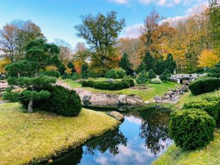 The Soloist's Baltic Stroll: Kadriorg Park, Tallinn